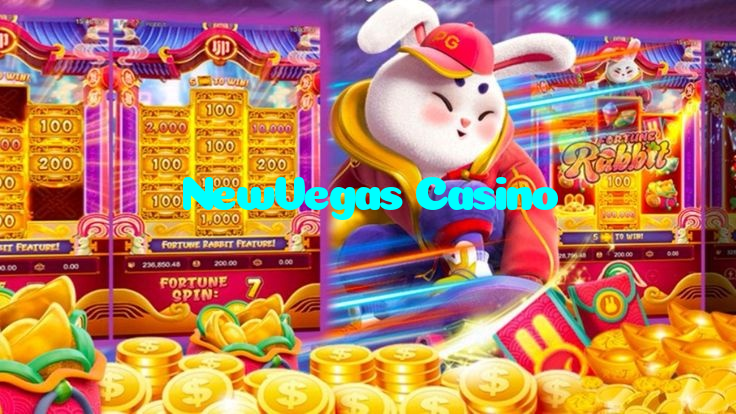 پاکستان میں لائیو کیسینو پریمیم اسٹوڈیو میں بیٹنگ اور حقیقی ٹائم اوڈز