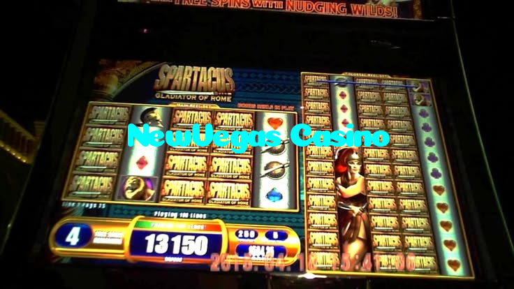 available types of NewVegas Casino bet including pre-match live express and system bets